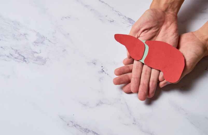 Est-ce que les antibiotiques fatiguent le foie ? Ce qu’il faut savoir-Chez Requia