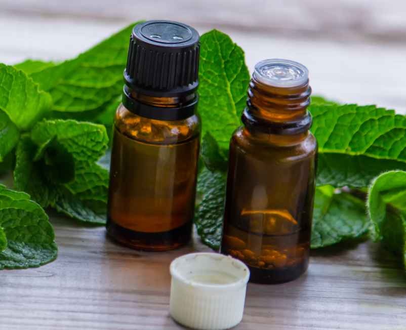 Menthe poivrée, huiles essentielles et massage localisé-Chez Requia