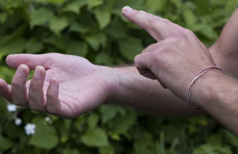 Les facteurs externes qui modifient la fréquence-Chez Requia