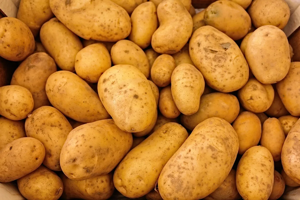 Variété de produits alimentaires régionaux : légumes frais, fromage et pommes de terre sur une table