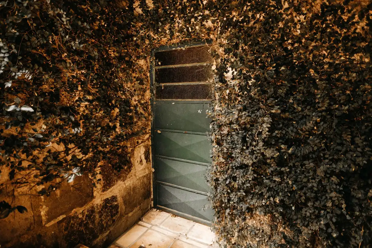 Entrée discrète d'un bar caché avec porte secrète