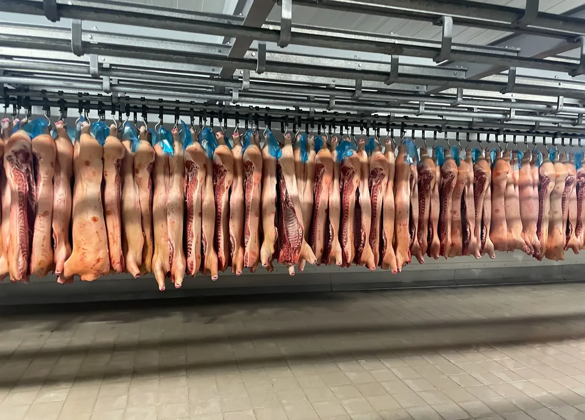 Viande en train de décongeler au réfrigérateur, emballée dans un récipient hermétique