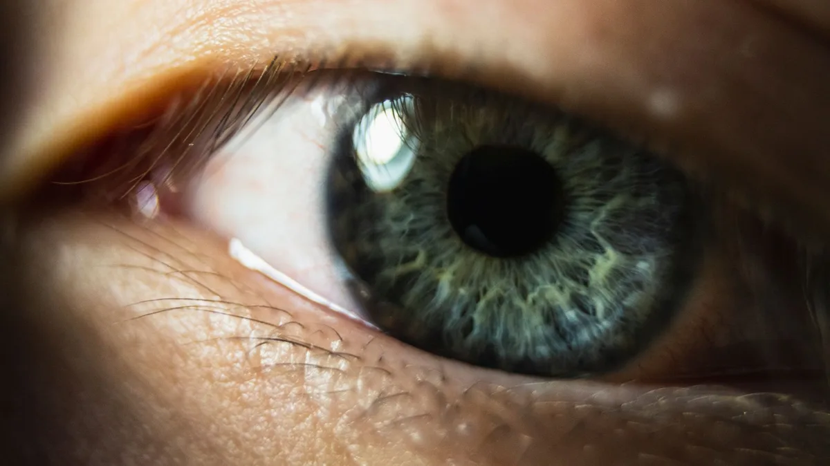 Schéma anatomique de l'œil montrant la rétine et la macula exposées à la lumière solaire