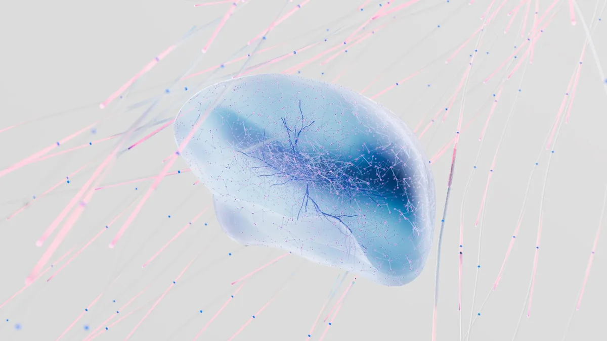 Illustration du cerveau et de l'hypothalamus contrôlant la température corporelle