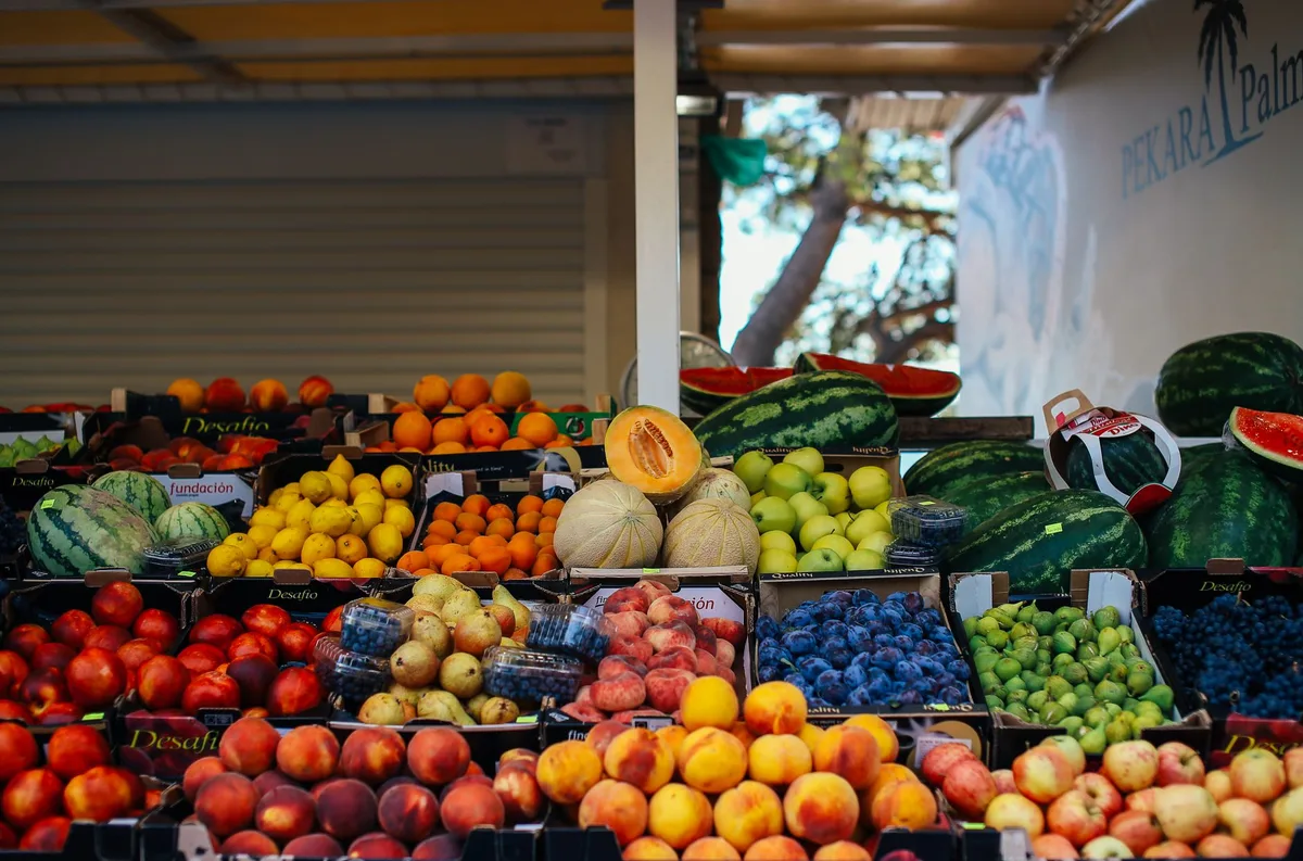 Variétés de fruits juteux : pastèque, melon, pêche et raisins frais