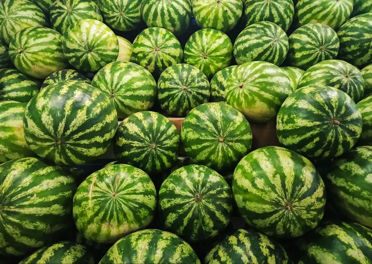 Fruits juteux et frais (pastèque, melon, pêches) servis froids sur une table ensoleillée