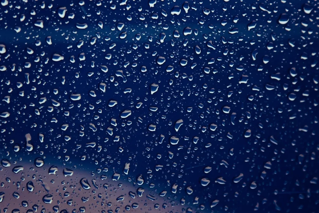 Cheveux mouillés avec gouttes d'eau sous la lumière du soleil, gestes de soin doux