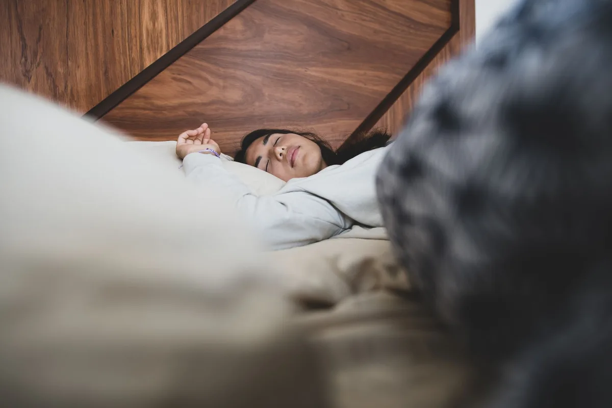 Chambre à coucher bien aménagée avec literie confortable, obscurité et température fraîche