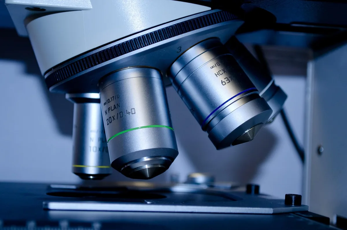 Pile d'articles scientifiques et notes sur une table, évoquant une méta-analyse