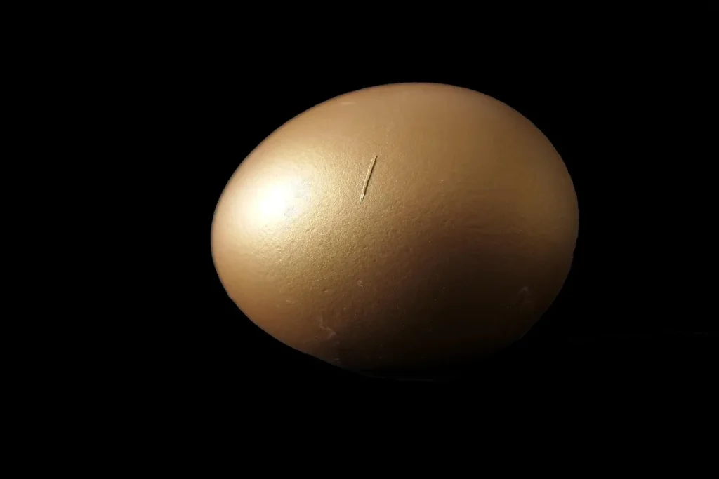 Mains séparant le blanc et le jaune d'un œuf au-dessus d'un bol dans une cuisine moderne