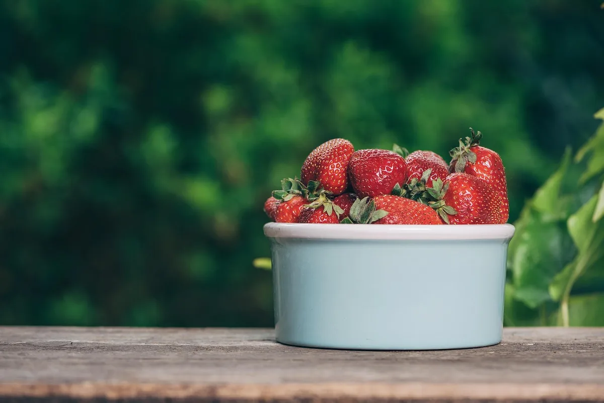 Bouteille d'eau et encas sains posés sur une table d'extérieur
