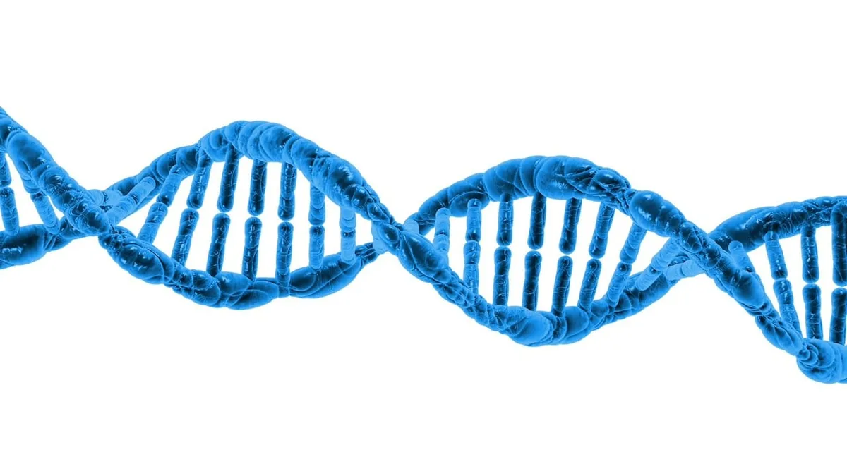 Visualisation du chromosome 16 et ses variations structurelles génétiques