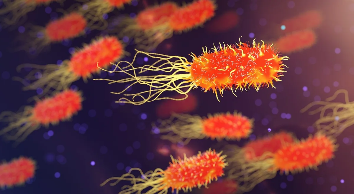 Illustration générique d'agents infectieux et maladies variées