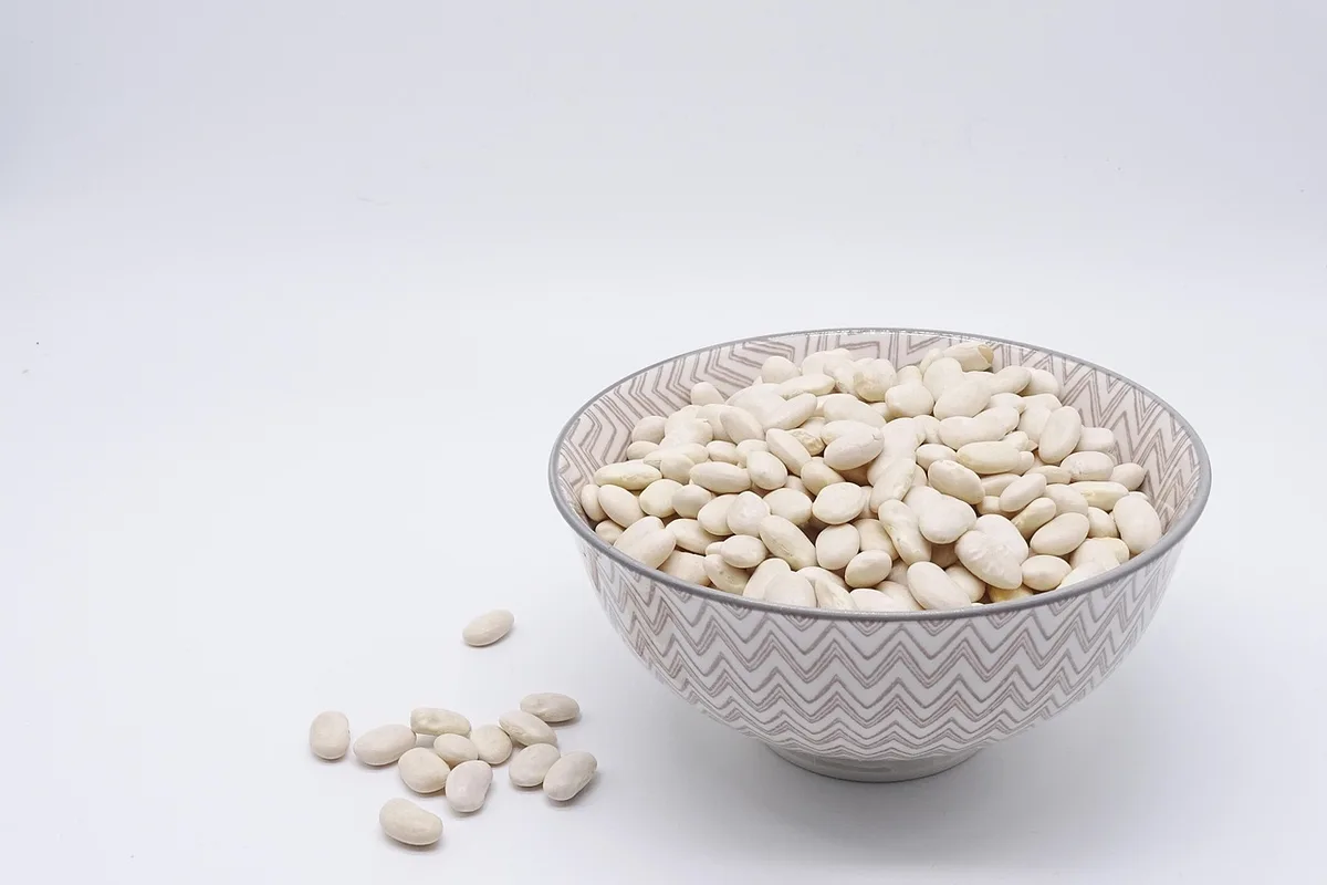 Bol tiède avec légumes de saison et source de protéines