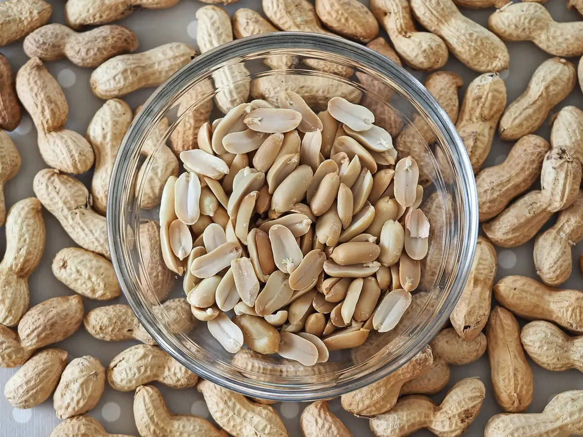 Salade équilibrée garnie de pois chiches, lentilles et légumes frais pour une meilleure satiété