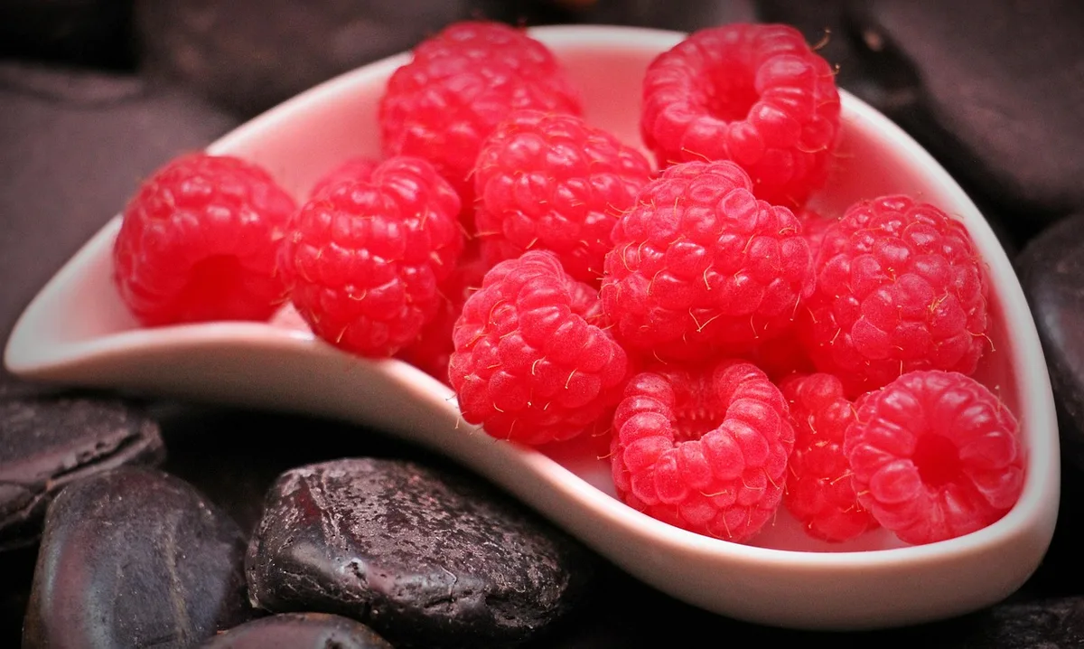 Assortiment de petits fruits et légumes feuilleux montrant leur densité nutritionnelle