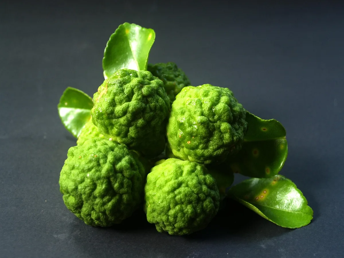 Agrumes frais : bergamote, citron et mandarine pour des parfums vivaces