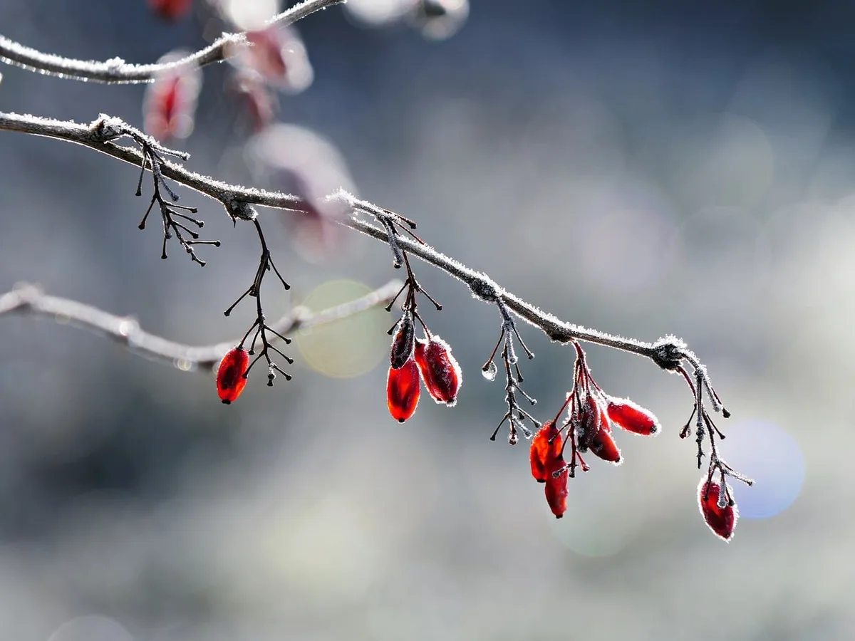 Personne de dos exposée faiblement au soleil d'hiver, silhouette près d'une fenêtre