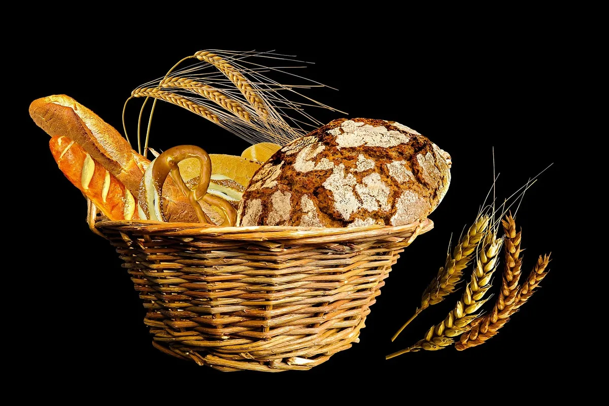 Schéma simplifié montrant l'hypothalamus et les signaux de faim et satiété