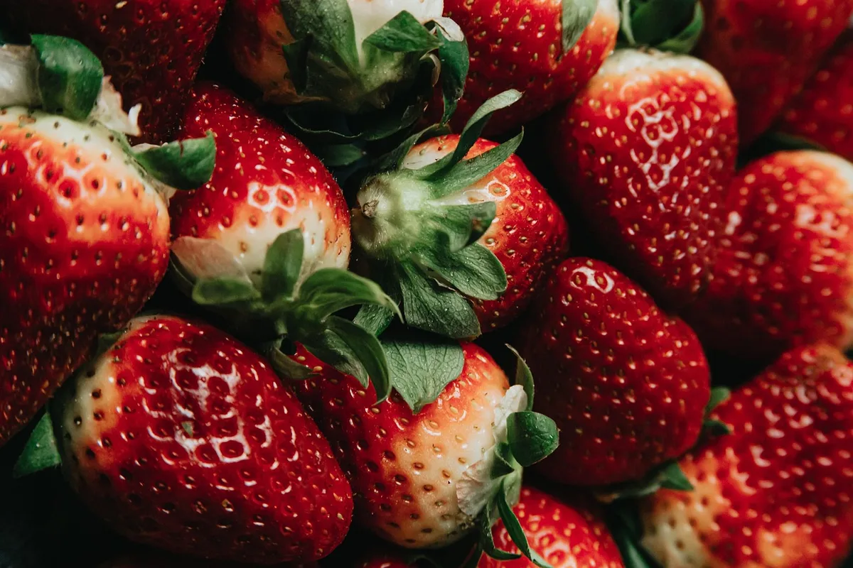 Illustration d'artères et aliments sains illustrant le lien alimentation et santé cardiovasculaire