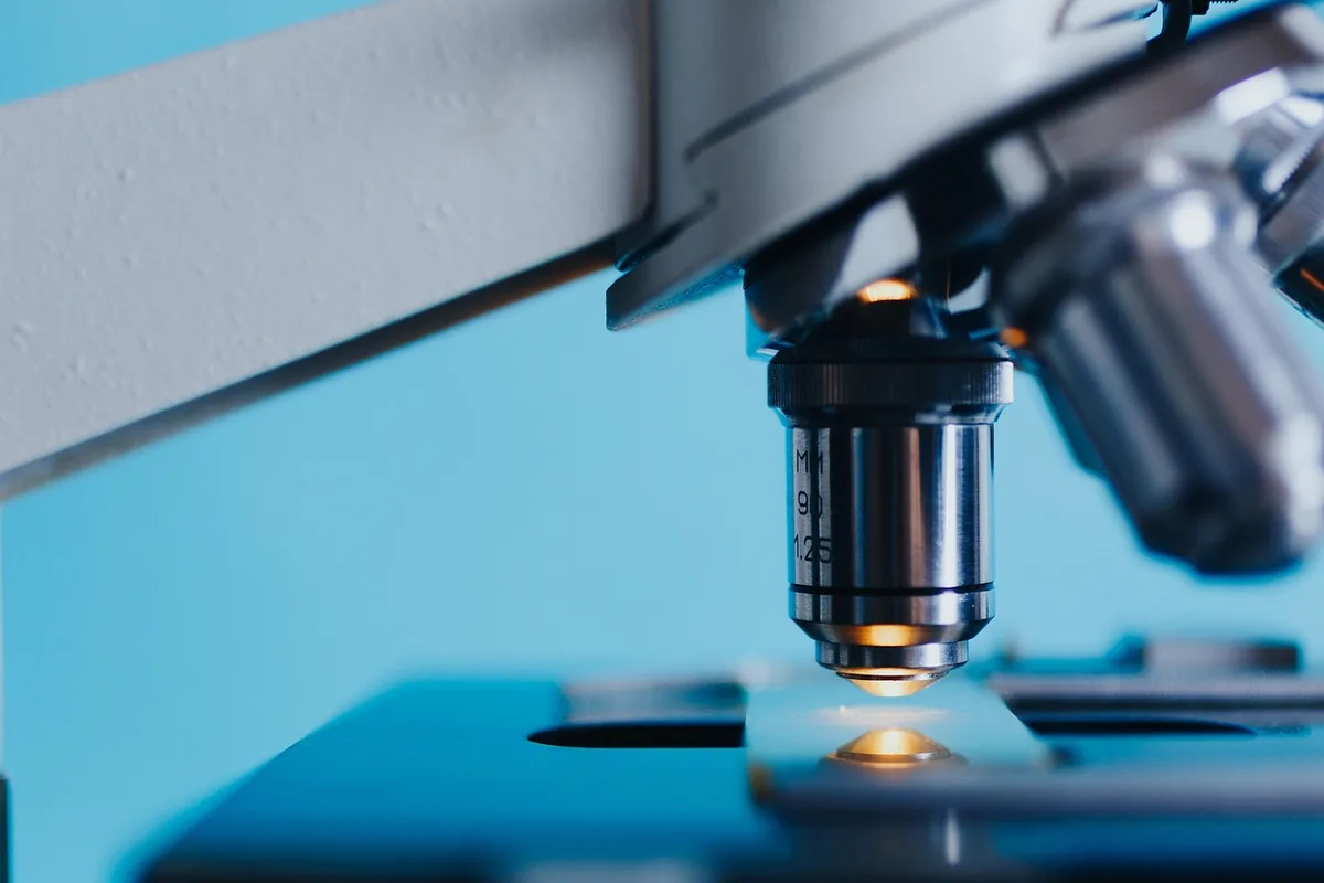 Chercheur examinant des coupes cérébrales en laboratoire montrant l'étude de l'inflammation