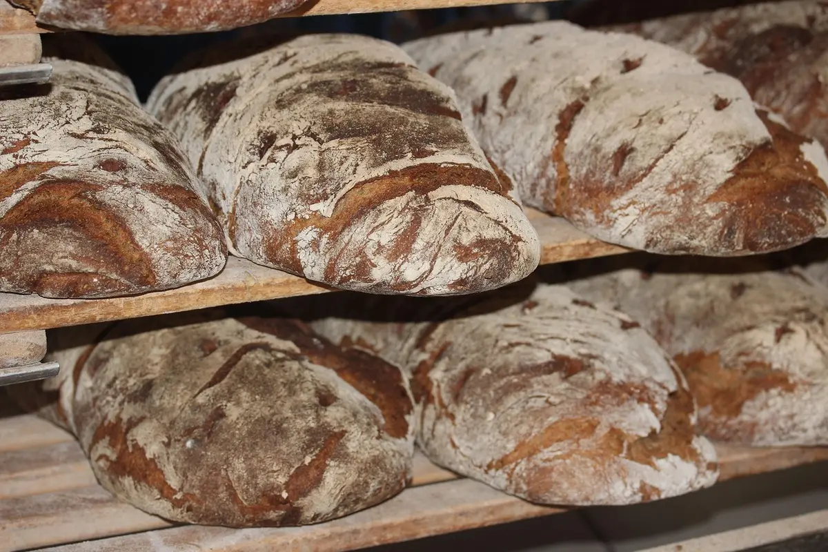 Tranches de banana bread emballées dans une boîte hermétique prêtes à congeler