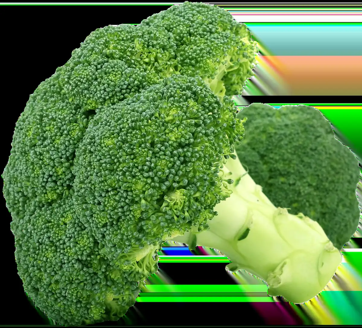 Personne préparant des portions de légumes précuits et rangeant des boîtes