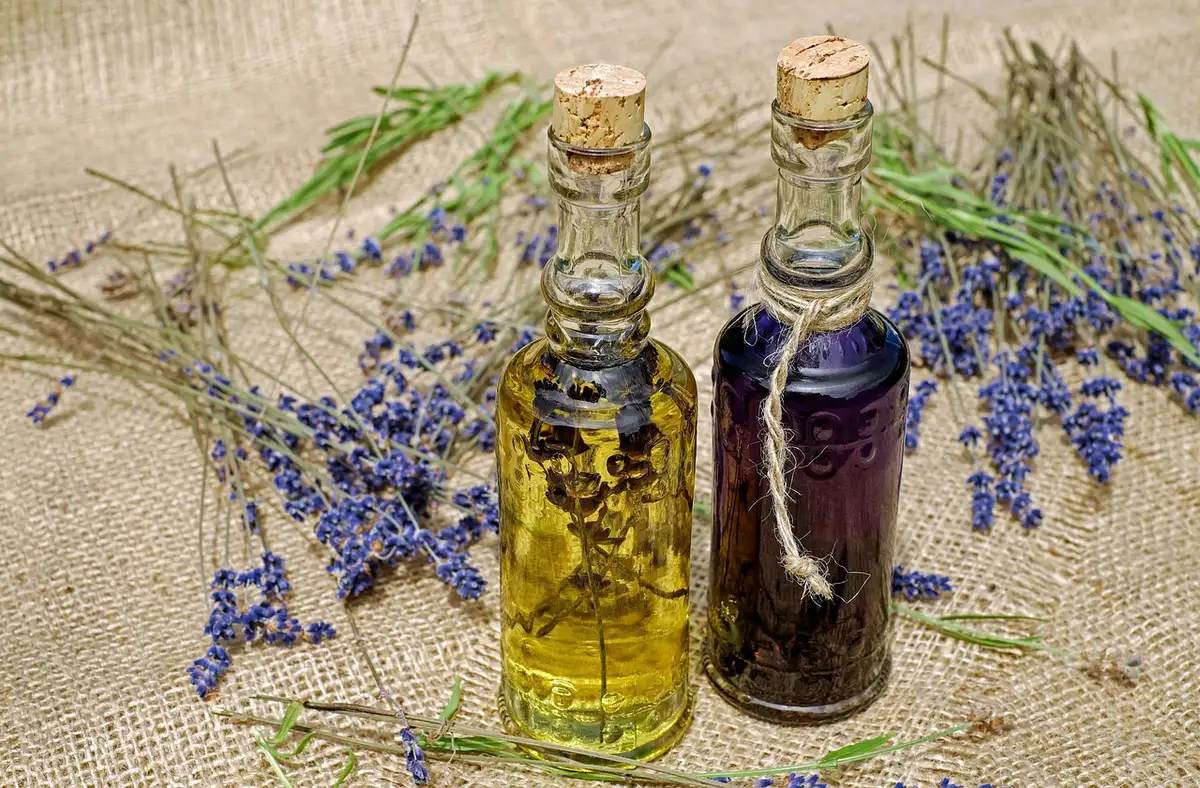 Bouteille réutilisable posée dans une cuisine ensoleillée