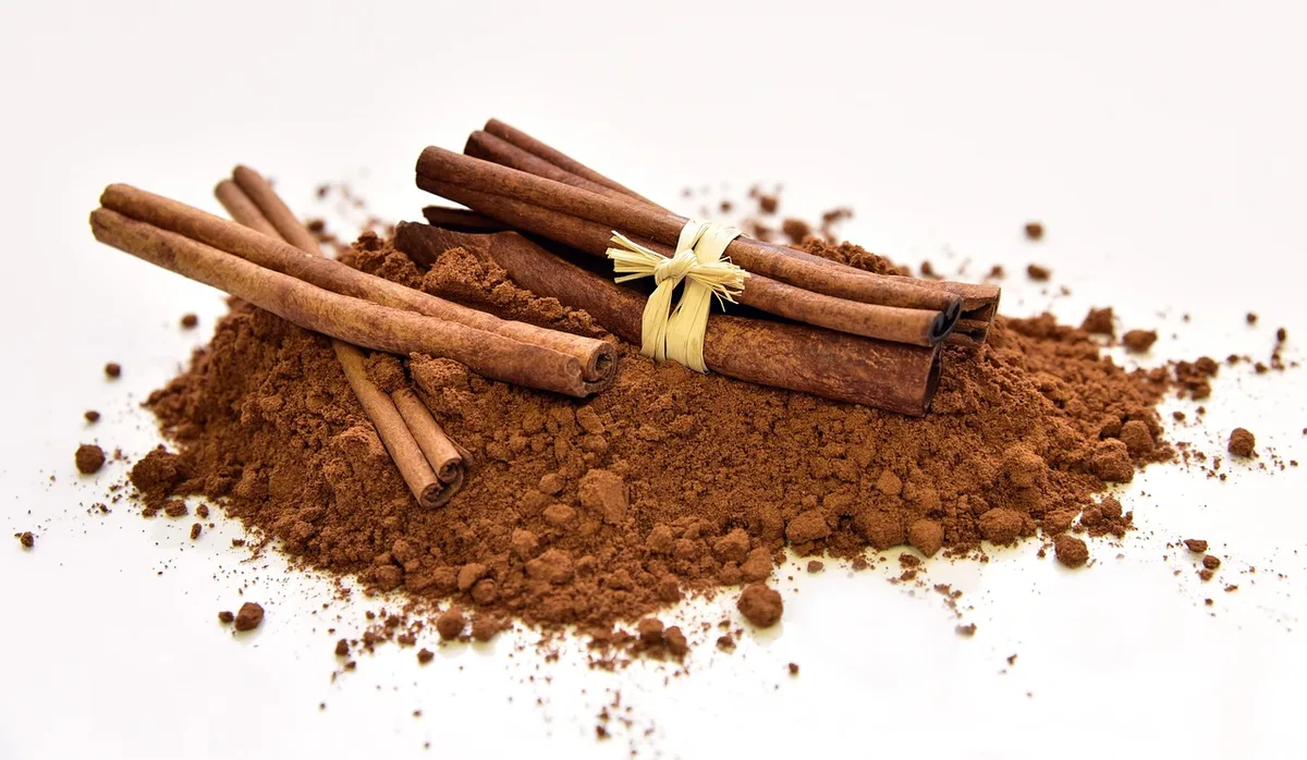 Différentes présentations de collagène : poudre, sticks et bol de bone broth