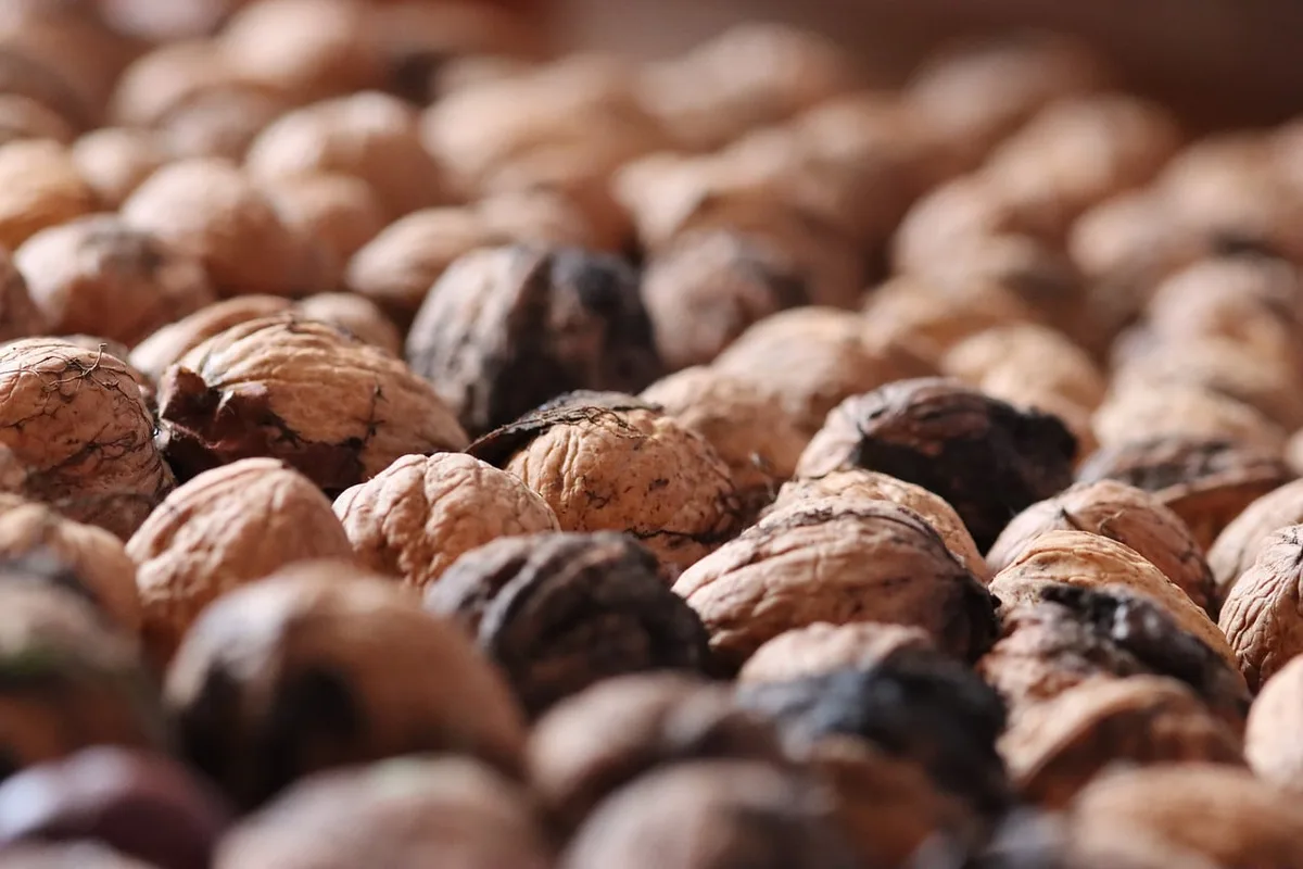 Boîtes hermétiques avec portions de houmous, fruits secs et noix prêtes pour la semaine