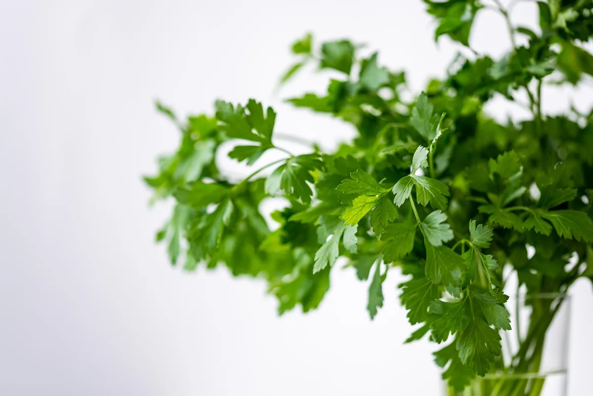 Herbes fraîches et zeste de citron prêts à assaisonner un plat